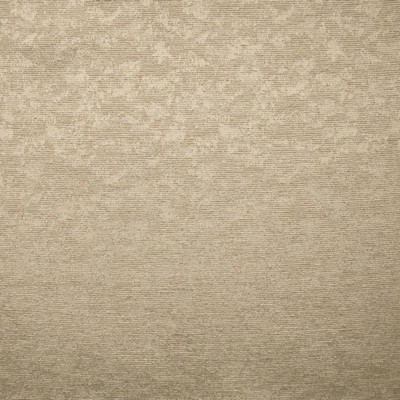 Kasmir WINDSOR ROAD     OWL             